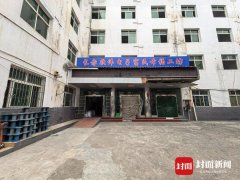 年产值超1800万元